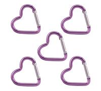 TEMOOUES 5pcs Coeur Forme Spring Clip Clip
