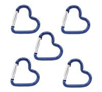 TEMOOUES 5pcs Coeur Forme Spring Clip Clip