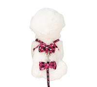 TEMOOUES Harnais pour chien de grande taille sans traction pour petits chiens - Facile à promener avec laisse - Harnais pour chiot ou chaton
