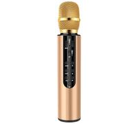 TEMOOUES Microphone sans Fil 2000mAh Microphones Haut-Parleur Rechargeables pour Les Mariages Discours et présentations Microphone Rechargeable
