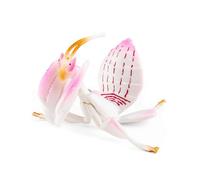 TEMOOUES Modèle de simulation solide Jouet Tricky Toy Enfants Cadeaux Cognitifs Adulte Modèle Trickster