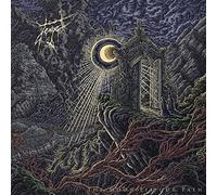 The Moon Lit Our Path