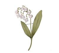 Tempérament Lily of the Valley Pearl Brooch Lily of the Valley Gree Leave Plant Bilans Loelry Accessoires