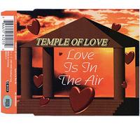 Temple Of Love - Love is in The air (4 Versions, 1995) [Import]