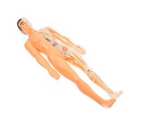 TEMPNAP 1 Ensemble Éducatif Humaine Puzzle Translucide avec Organes et Squelette Détachables pour Apprentissage Cognitif des Garçon Fille