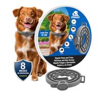 Tempotech ® Collier antiparasitaire Chien - 8 Mois de Protection - Contre Les puces, tiques, moustiques, acariens et poux - Collier Vermifuge (2, Gris REFORCÉ, 72CM)