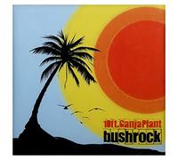 Ten Ft. Ganja Plant - Bushrock