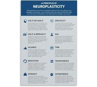 Ten Principles Neuroplasticity Brain Plasticity Poster Cognitive Growth Guide Educational Canvas Wall Art Living Room Bedroom(Unframed,16x24inch(40x60cm))