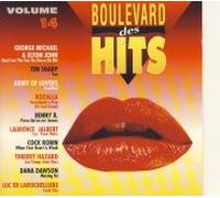 Boulevard Des Hits Vol. 14