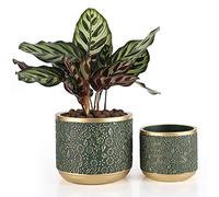 Ten-Stone 15,2 cm + 10,1 cm Pots de Ciment avec Trou de Drainage pour Plantes d'intérieur (Or/Vert)