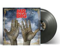 Ten Vinyle