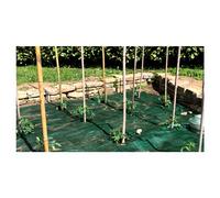 TENAX Cover Pro Toile de Paillage Verte pour Jardin et Potager 0,52 x 100 m