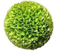 TENAX Dahlia Green Bloom Ø 18 cm Vert, Plante Artificielle en Forme Sphérique, Fleur Type Dahlia, Sphère Décorative pour la Décoration de la Maison et du Jardin, Intérieur et Extérieur