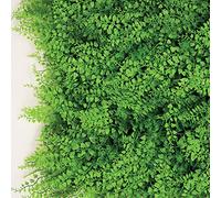 TENAX Divy 3D Panel Fern 0,50 x 1 m Vert, Panneau Modulaire en Feuilles de Fougère Artificielles pour Décoration Murale et Jardin Vertical