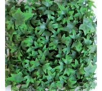 TENAX Divy 3D Spiral Panneau Modulaire de Lierre Artificiel Vert 0,5 x 1