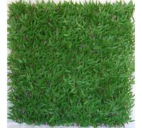 TENAX Divy 3D X-Tens Bamboo Vert 1 x 2 m - Treillis Extensible pour Pergola, Brise-Vue Effet Bois Nature