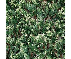 Tenax Divy 3D X-Tens Cyprus 1,00x2 m Vert-Blanc, Treillis Extensible en Bois Naturel Recouvert de Feuilles de Cyprès, Brise-Vue pour Balcons et Terrasses, Décoration de Murs