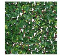 TENAX Divy 3D X-Tens Haie artificielle d'osmanthus verte - 1 x 2 m