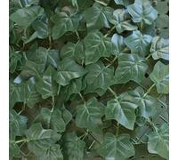 TENAX Divy Hedera Plus 150x300 cm Vert, Haie Synthétique avec Feuilles en PE Type Lierre à Occultation Totale pour Balcons, Jardins et Clôtures