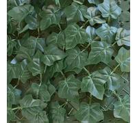 TENAX Divy Hedera Plus Haie Artificielle Verte 100 x 300 c