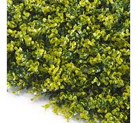 TENAX Divy Panel Buxus 100 x 100 cm Vert, Panneau modulaire avec feuilles artificielles 3D type Buis pour murs, jardins verticaux et décorations intérieures/extérieures
