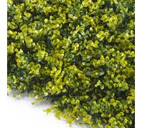 TENAX Divy 3D Panel Buxus 0,50 x 1 m Vert-Jaune, Panneau Modulaire en Feuilles de Buis Artificielles pour Décoration Murale et Jardin Vertical