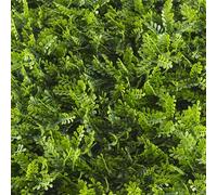 TENAX Divy Panel Helecho 100 x 100 cm Vert, Panneau modulaire avec Feuilles artificielles 3D Type Fougère pour Murs, Jardins verticaux et décorations intérieures/extérieures