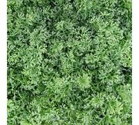 TENAX Divy Panel Lichen 100x100 cm Vert, Panneau Modulaire avec Feuilles Artificielles 3D Type Mousse pour Murs, Jardins Verticaux et Décoration Intérieure/Extérieure