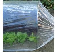 TENAX Dot Film 2,00x10 m Film de Forçage Micro-perforé Transparent pour Protéger Cultures, Légumes et Plantes, pour Tunnels dans Les Jardins et Les Potagers