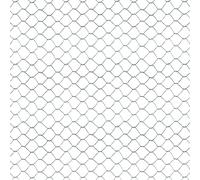 TENAX EXAMET 10 Filet Métallique 0,50x10 m Argent, Maille Hexagonale 14x14 mm, pour Cages et Enclos d'animaux de Basse-Cour (Poules, Lapins, Oiseaux), Petites Clôtures et Applications Agricoles