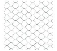TENAX Examet 25 Argent 1 x 10 m, Maillage Hexagonal 26 mm pour Enclos à Volailles