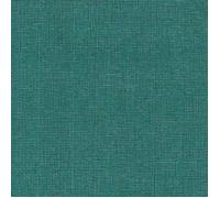 TENAX Bahia Brise-Vue Tissé Vert 1,00 x 5 m pour Jardins, Balcons, Clôtures & Terrasses