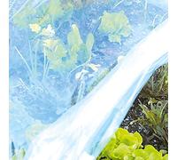 Tenax Film de Forçage Coat Film 2,00x10 m en Plastique Transparent, Housse de Protection pour Plantes, Cultures et Légumes