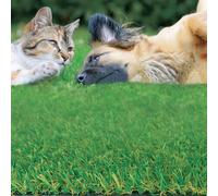 TENAX Irish Plus 2,00 x 5 m Gazon Synthétique Vert - Hauteur de Brin 25 mm