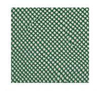 TENAX Jolly Grillage à Mailles Losangées Vert 1x30m pour Protection de Tombe, Jardin et Balcon