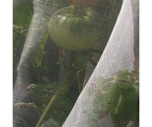 Tenax Microfender 2,00x5 m Transparent, Filet Anti-Insectes, Anti-pucerons pour Cultures et Plantes