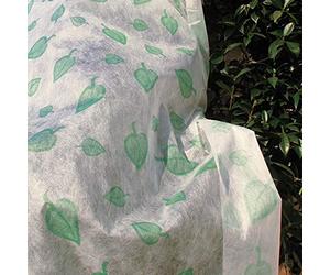 TENAX Orthoclimat Decò, voile de protection pour plantes, poids 30 g/m², 1,60 x 10 m, décorations de feuilles vertes, tissu non tissé d'hiver, blanc/vert