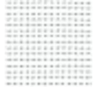 TENAX Ortoflex 4,00 x 5 m Filet Anti-Oiseaux Ver