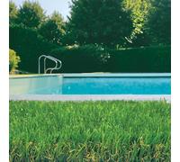 TENAX Scottish 2,00 x 5 m Gazon Synthétique Vert - Hauteur de Brin 32 mm