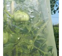 Tenax Tomato Film 0,60x10 m Jaune, Film Tubulaire pour la Culture des Tomates, pour Favoriser et Accélérer la Croissance des Tomates (Contient 10 Liens en Plastique pour Fermer Le Tubulaire)