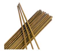 TENAX Tuteurs en Bambou pour Plantes 50 cm Beige - Lot de 15