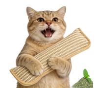 Tencipeda Interactive Catnip Chew Toy for Indoor Cats, Cat Nip Chew Toy with Soft Sisal Kicker Pillow for Chewing, Kicking & Scratching (Large)