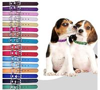 TenCloud Lot de 12 ou 16 colliers d'identification réglables en cuir pour chiot, chiens de taille moyenne et grande de 15,2 à 45,7 cm (taille S (tour de cou : 15,2 à 30,5 cm)