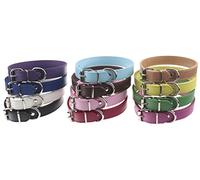 TenCloud Lot de 12 ou 16 Colliers d'identification réglables en Cuir pour Chiots, Chiens de Taille Moyenne et Grande Taille, Tour de Cou de 15,2 à 45,7 cm (Taille L : Tour de Cou de 33 à 45,7 cm)