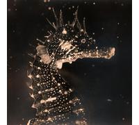 Tender Ender - Black Swan (Gatefold)