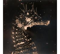 Tender Ender Black Swan Vinyl NEUF