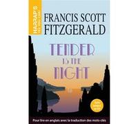 Tender is the Night Francis Scott Fitzgerald (Auteur)