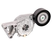 Tendeur, Courroie Poly-V pour Audi Seat Skoda VW A3 Alhambra Altea XL B