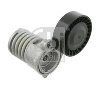 Tendeur, Courroie Poly-V pour Ford Volvo (Changan) C30 C70 Focus S40 V5