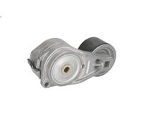 Tendeur, courroie trapézoïdale à nervures DAYCO APV2729 pour P I 8.867 2006-
